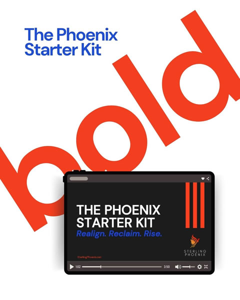 the-phoenix-starter-kit-(2)-m The Phoenix Starter Kit